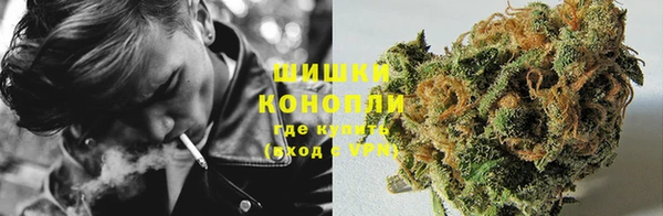 гашик Липки