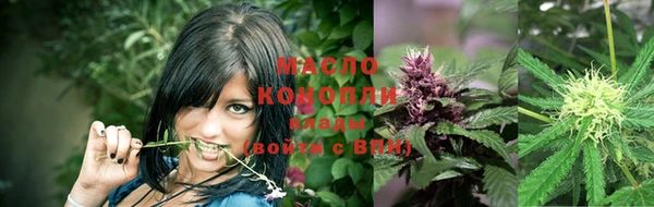 гашик Липки