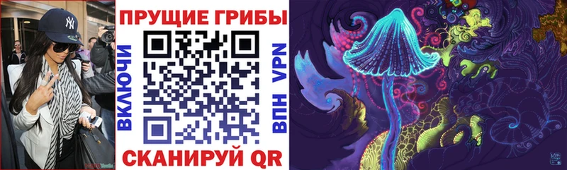 купить наркоту  ОМГ ОМГ ссылка  Псилоцибиновые грибы Psilocybe  Советский 