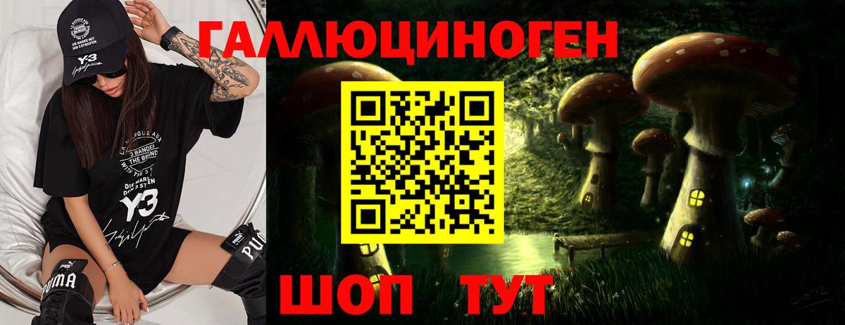 Псилоцибиновые грибы Psilocybine cubensis  Галлюциногенные грибы Cubensis  Советский 