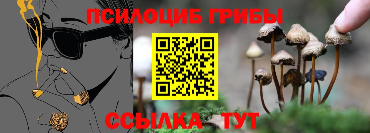 Советский  Галлюциногенные грибы Psilocybe  купить   Псилоцибиновые грибы ЛСД  Вход с VPN 